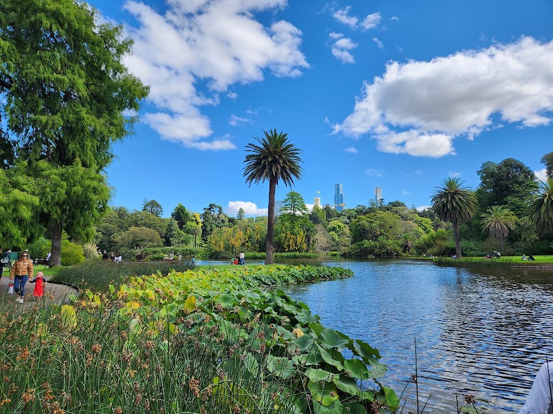 Royal Botanic Gardens Victoria - Melbourne Gardens - Royal Botanic Gardens Victoria - Melbourne Gardens, Melbourne VIC 3004, Australia