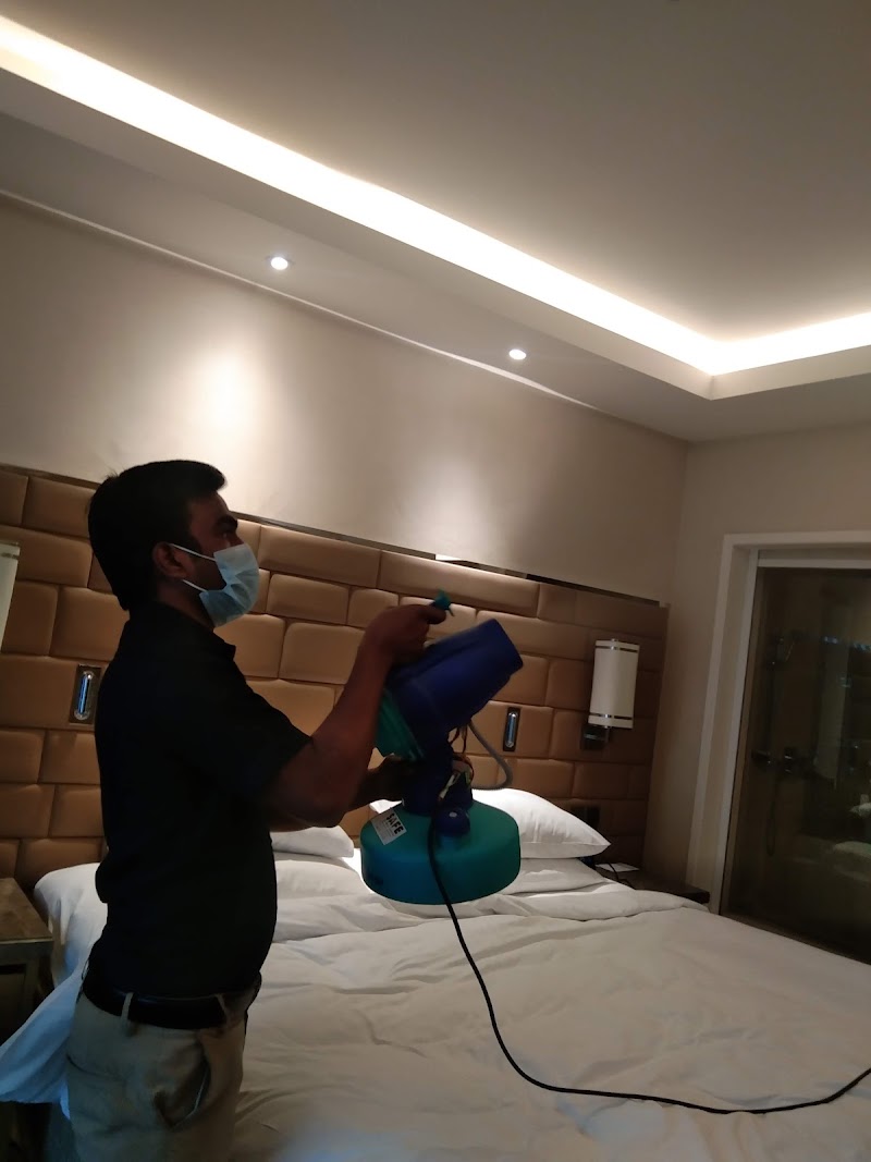 Safe Pest Control Services Pvt Ltd - Safe Pest Control Services Pvt Ltd, 53, MD Block, Ranoji Rao Road, S Cross Rd, Basavanagudi, Bengaluru, Karnataka 560004, India
