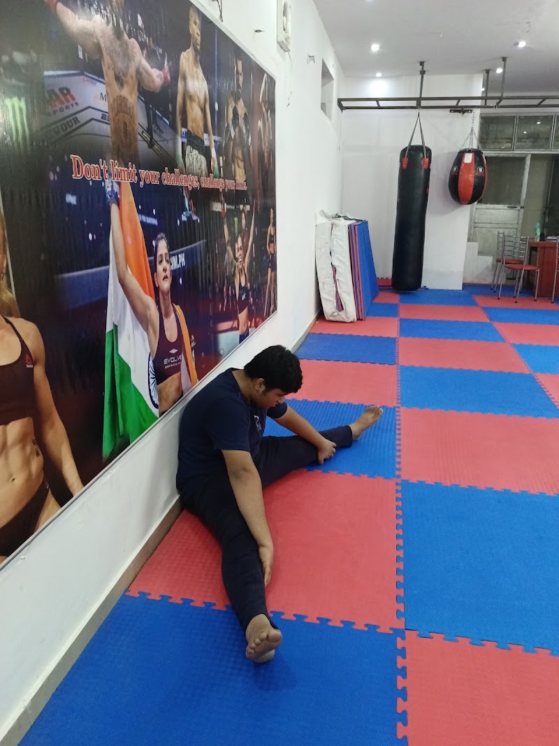 MMA TIGERS Martial Arts Delhi. - MMA TIGERS Martial Arts Delhi., matro pillar no.499 4B/1, 110018, near Bank of Baroda, Block 4B, Tilak Nagar, New Delhi, Delhi, 110018, India