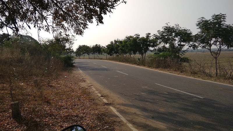 Lotus Pond Tekumatla - Lotus Pond Tekumatla RH53+HX3, Adilabad, Telangana 504216, India