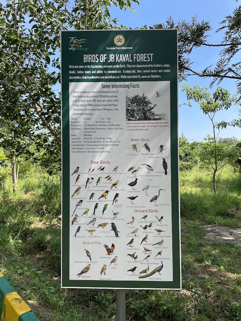 J B Kaval Tree Park - J B Kaval Tree Park 4GGX+2QX, Jarakbandekaval, Karnataka 560119, India