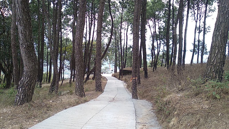 Baba Balak Nath Temple - Baba Balak Nath Temple, PF3G+CF5, Hamirpur, Himachal Pradesh 177001, India