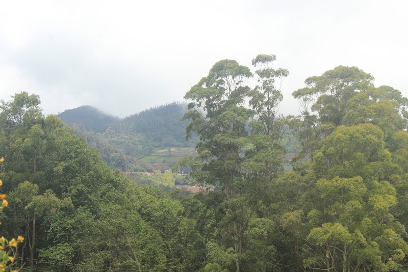 Ooty Lake View point - Ooty Lake View point CM4Q+986, N Lake Rd, Kathadimattam, Ooty, Tamil Nadu 643001, India