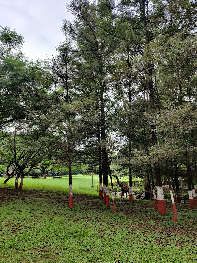 Jogger's Park - Jogger's Park, North Ave, Nilanjali Society, Kalyani Nagar, Pune, Maharashtra 411006, India
