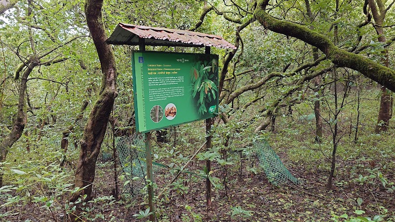 Wai Panchgani Road - Wai Panchgani Road, WVR8+FX2, Yashwantnagar, Maharashtra 412803, India
