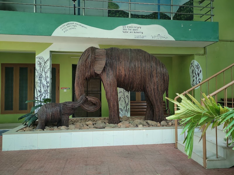 Mangalavanam Bird Sanctuary - Mangalavanam Bird Sanctuary High Ct Rd, Marine Drive, Kochi, Kerala 682018, India