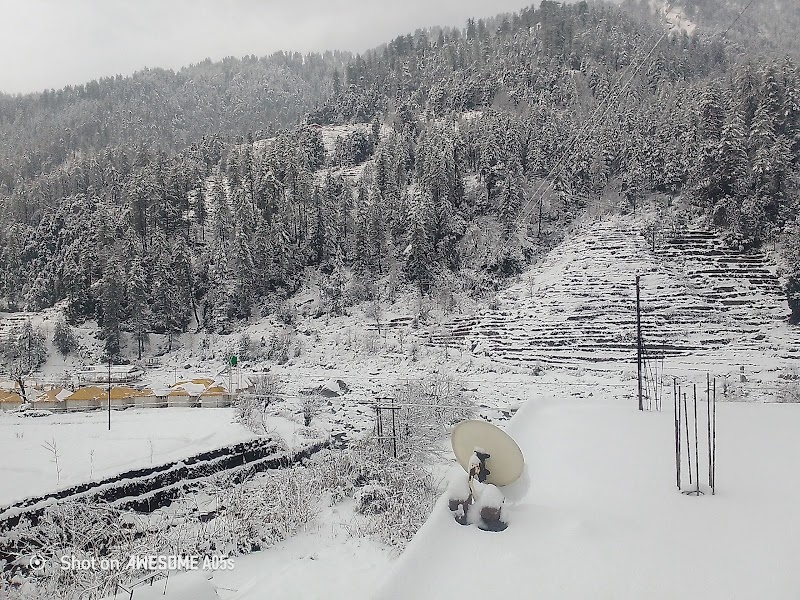 River side home stay - River side home stay Bus Stop, Ghatasani-Barot Rd, Tarwan, Himachal Pradesh 175013, India