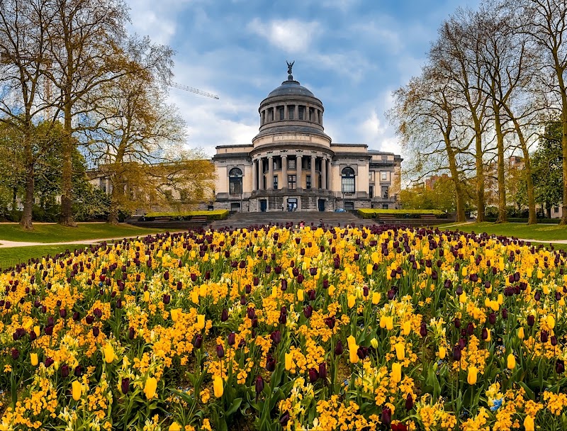 Parc du Cinquantenaire - Parc du Cinquantenaire 1000 Brussels, Belgium
