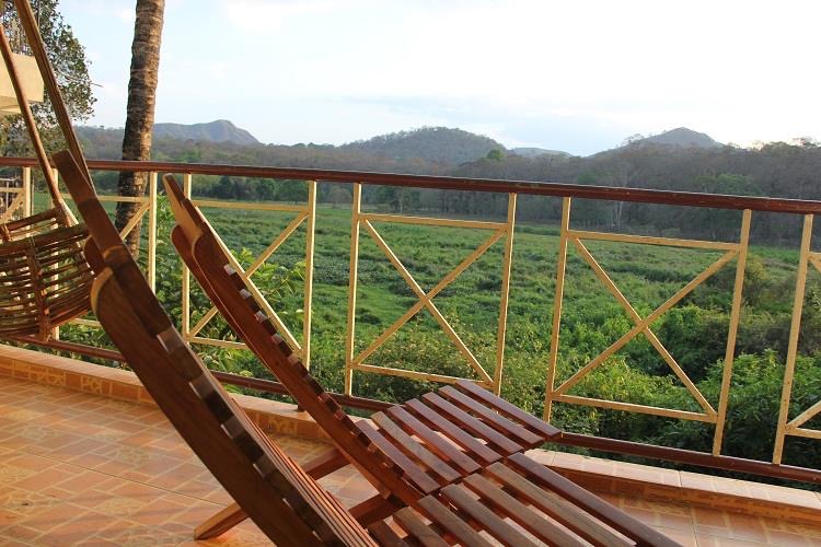Wild view - Wild view Kumily Thekkady Rd, Thekkady, Kumily, Kerala 685509, India
