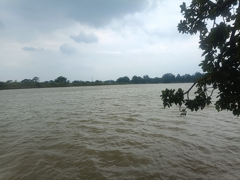 Tikamuda Kata - Tikamuda Kata, 9576+F4J, Nuabarangamal, Odisha 768112, India
