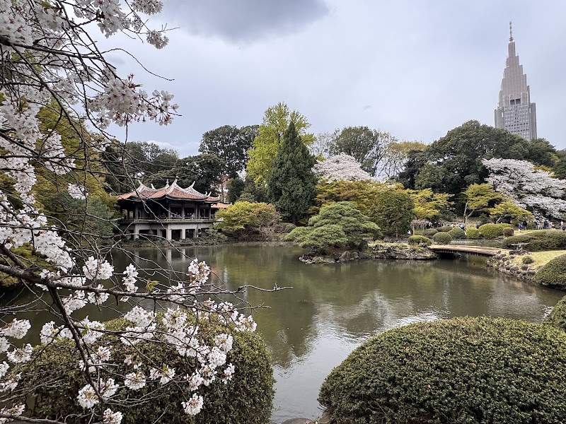 Shinjuku Gyoen National Garden - Shinjuku Gyoen National Garden 11 Naitōmachi, Shinjuku City, Tokyo 160-0014, Japan