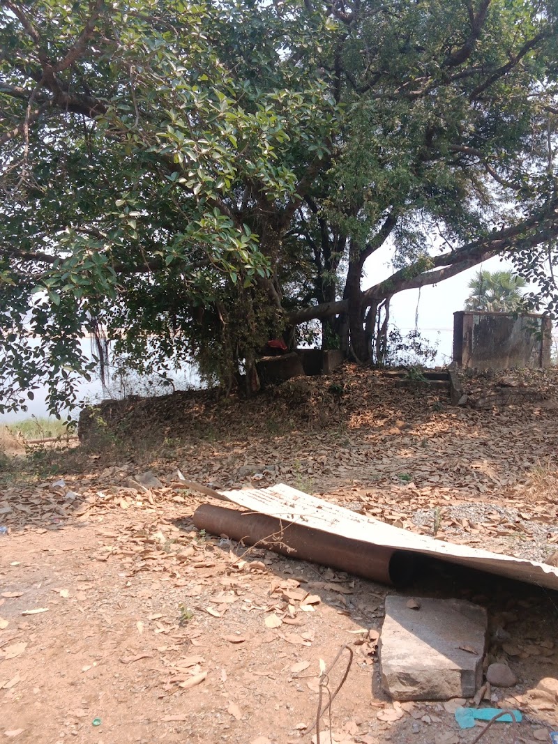 Mahishapat Thakur (I Bi Ko Nadanmal - Mahishapat Thakur (I Bi Ko Nadanmal, VRWM+M9M, Jharpada, Odisha 767017, India