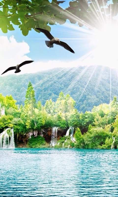 Than Bok Khorani National Park - Than Bok Khorani National Park, 2 2, Tambon Ao Luek Tai, Amphoe Ao Luek, Chang Wat Krabi 81110, Thailand