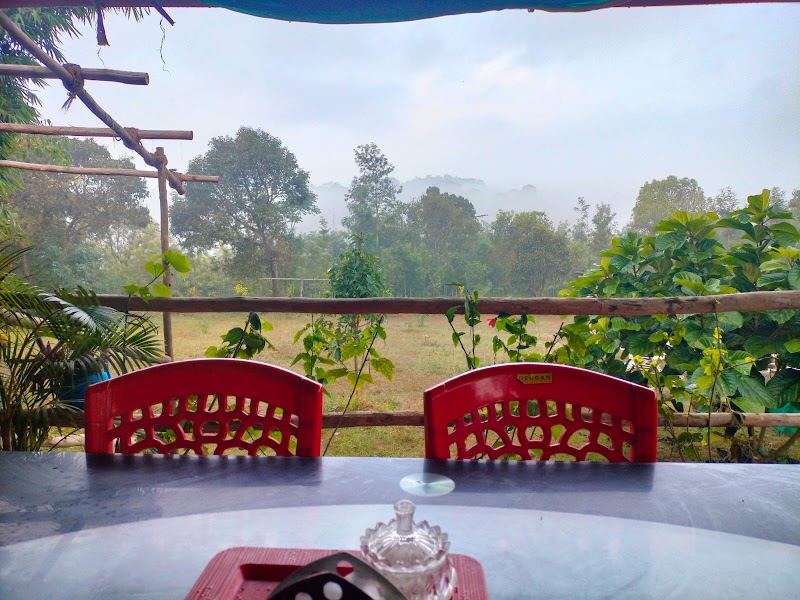Coorg Coffee Park Farmstay, A private villa stay - Coorg Coffee Park Farmstay, A private villa stay Kalkandoor village, mallali falls road , pushpagiri, hills road, Somwarpet, Kalakandur, Karnataka 571236, India