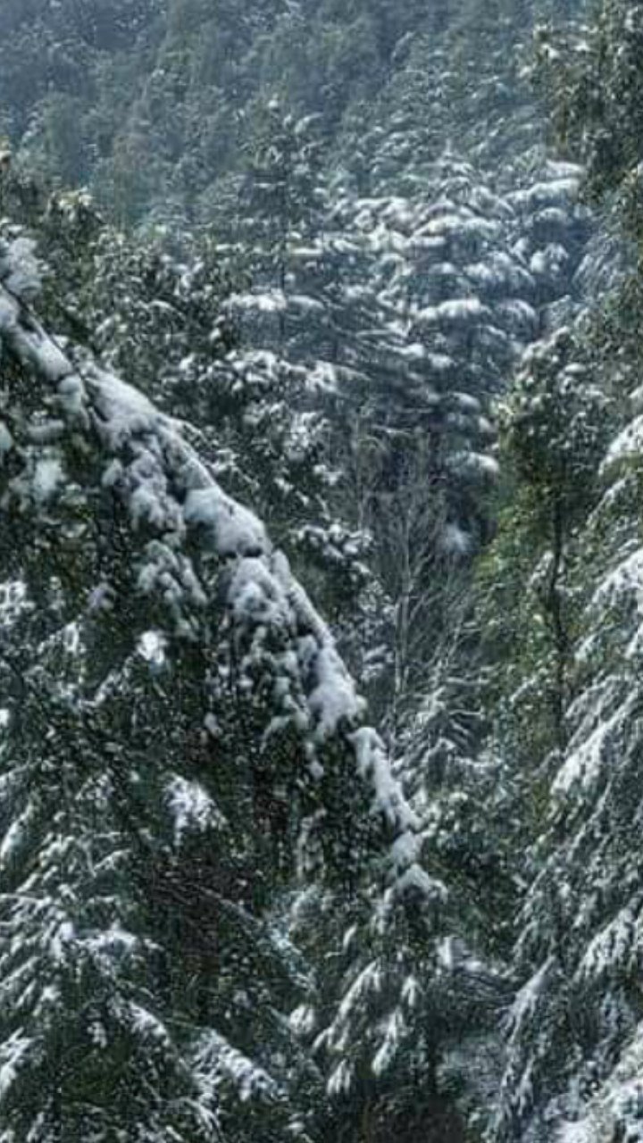 Upper Dharamkot - Upper Dharamkot, Himachal Pradesh 176216, India