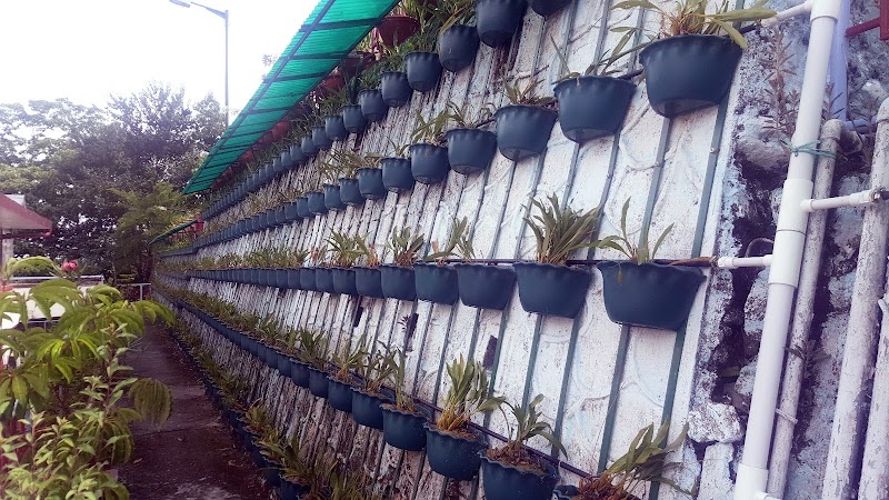 ICAR - National Research Centre for Orchids - ICAR - National Research Centre for Orchids 6HJR+H3V, Dikling Rd, Pakyong, Sikkim 737106, India