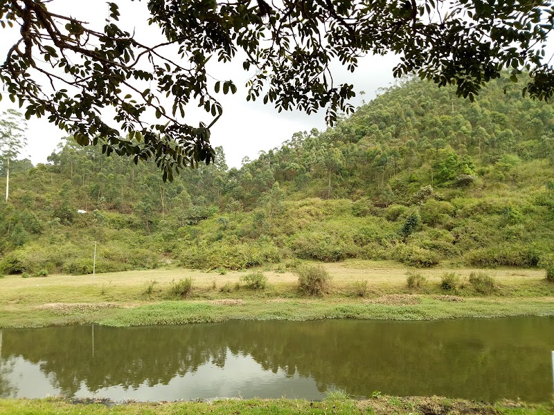 Westwood Riverside Munnar - Westwood Riverside Munnar MSA Rd, Moolakadai, Munnar, Kerala 685612, India