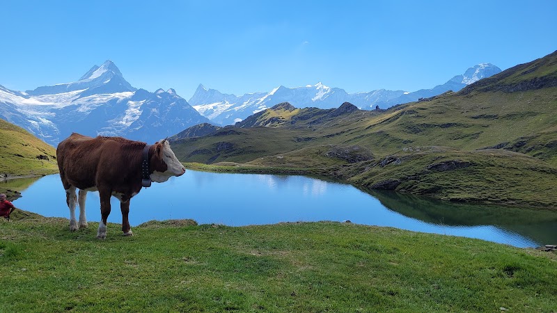 First - First First, 3818 Grindelwald, Switzerland