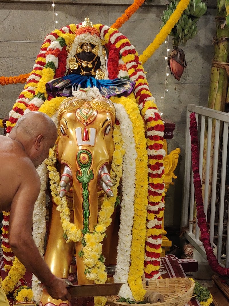 TTD Sri Padmavati Thaayaar Temple - TTD Sri Padmavati Thaayaar Temple 83,85/41, Gopathy Narayana Rd, Lakshimi Colony, T. Nagar, Chennai, Tamil Nadu 600017, India