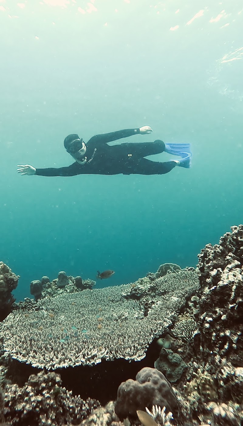 Freediving in Panglao, Bohol | Blue Freedom - Freediving in Panglao, Bohol | Blue Freedom, Relax Divers Resort Purok 5B, Tangnan, Panglao, 6339 Bohol, Philippines
