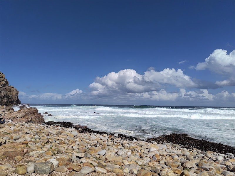 Cape of Good Hope - Cape of Good Hope, Cape Peninsula, Cape Town, South Africa