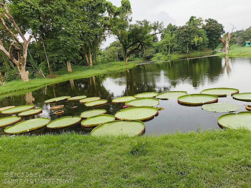 The Great Banyan Tree - The Great Banyan Tree B. Garden New Gate, Shibpur, Howrah, West Bengal 711103, India