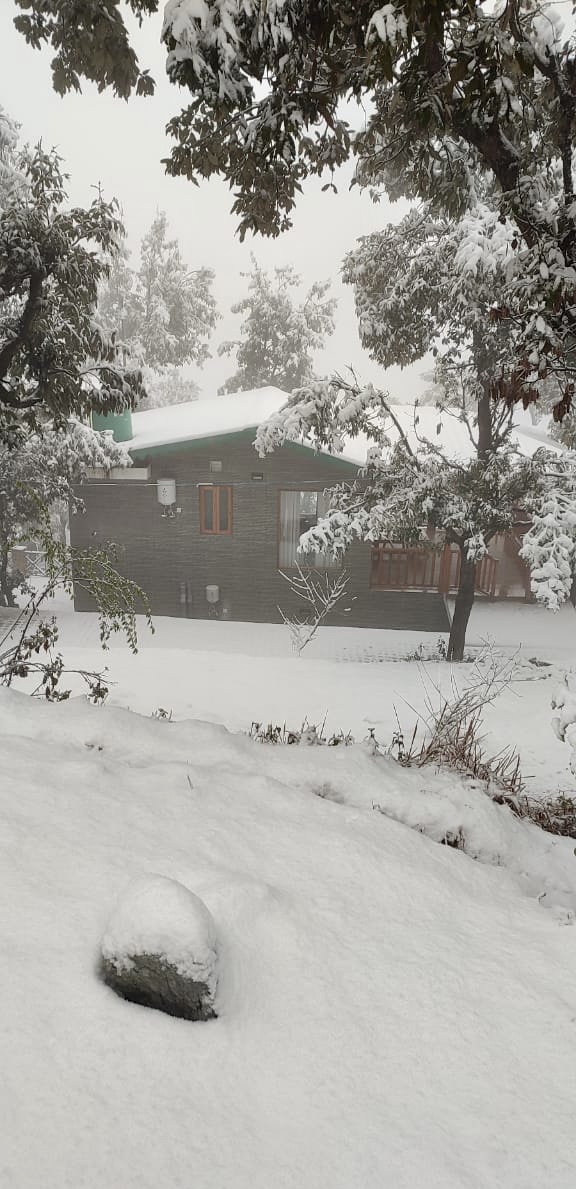 The Hill Home (cottages) - The Hill Home (cottages), Saitoli, Uttarakhand 263138, India