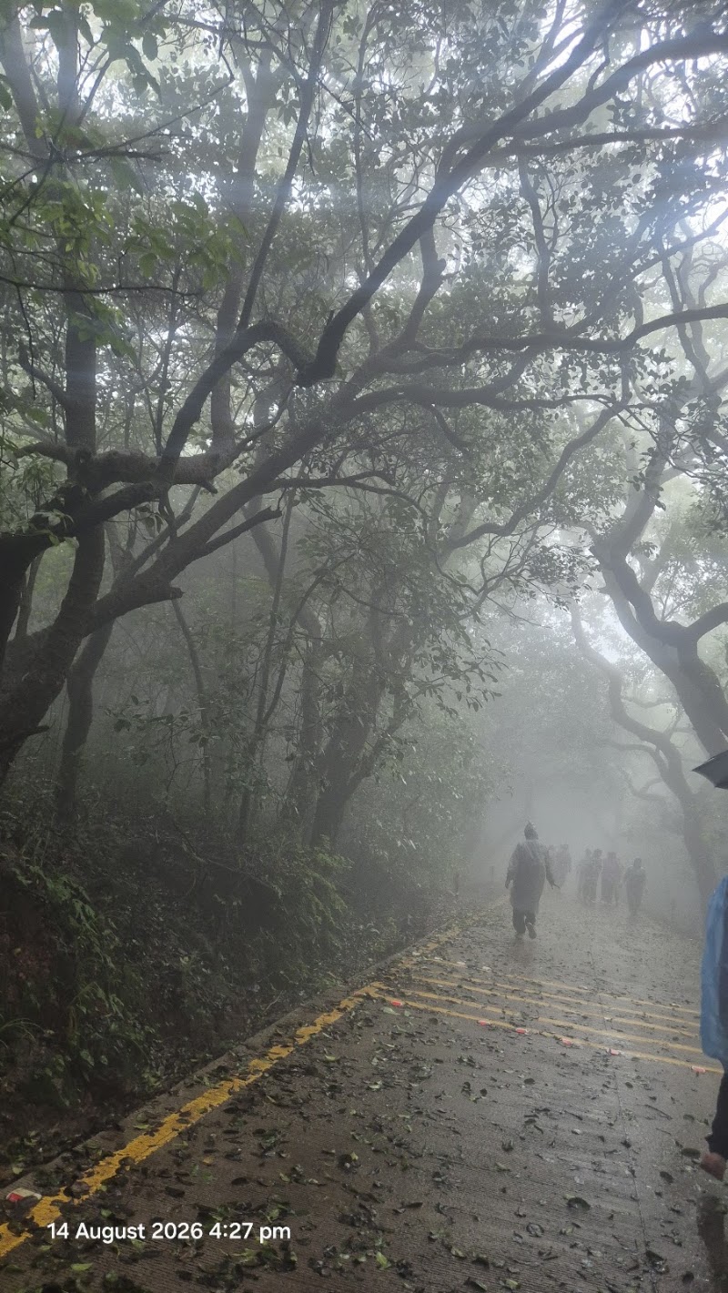 महाबळेश्वर - महाबळेश्वर WJJV+2QJ, Mahabaleshwar, Maharashtra 412806, India
