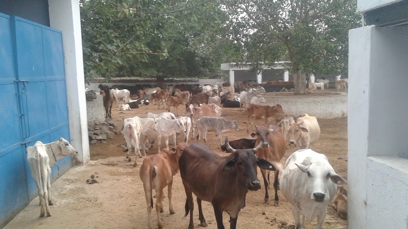 Dayal Das Mandir - Dayal Das Mandir 922M+4MW, Tikli, Haryana 122101, India