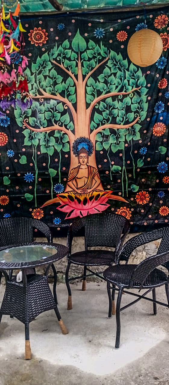 Skylight Garden River side Cafe & homestay - Skylight Garden River side Cafe & homestay main market, opposite State bank of INDIA, Jibhi, Rashala, Himachal Pradesh 175123, India