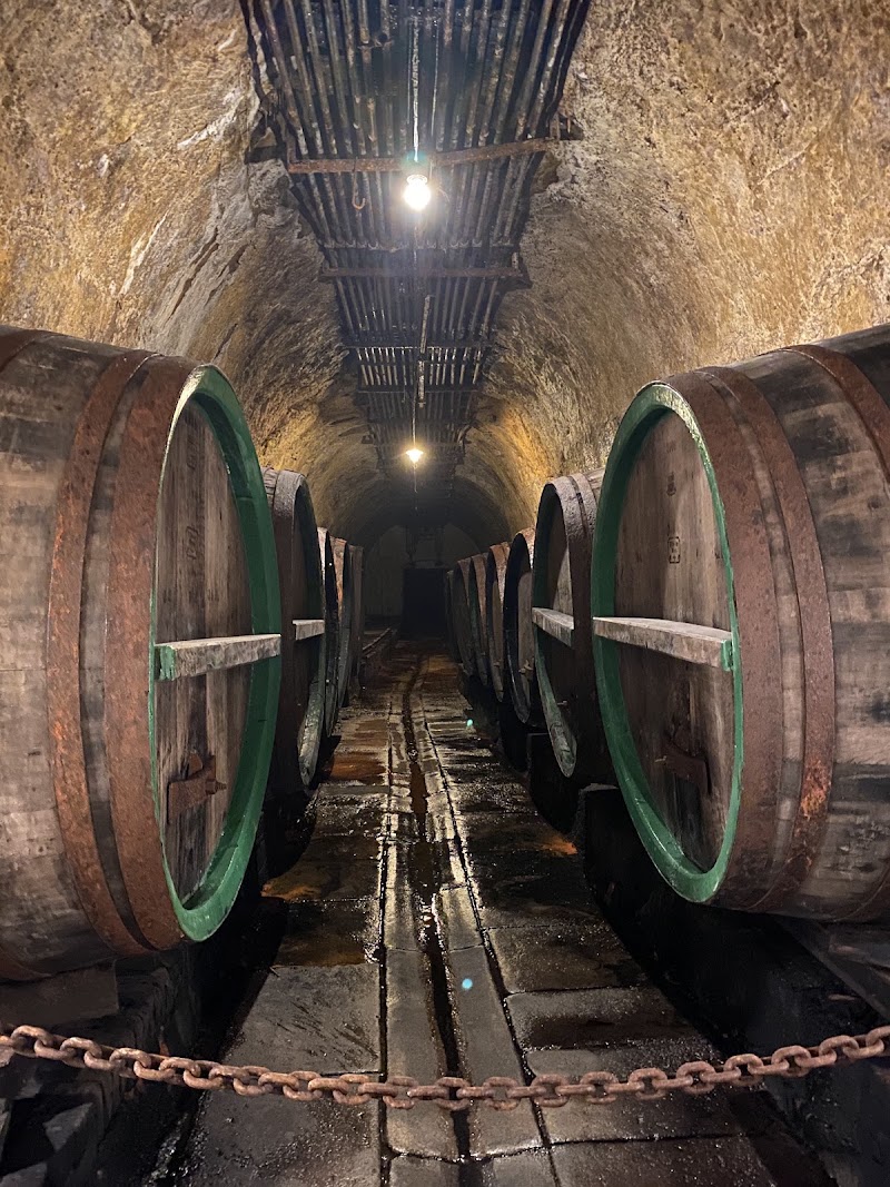 Pilsner Urquell Brewery - Pilsner Urquell Brewery U Prazdroje 64/7, 301 00 Plzeň-Plzeň 3, Czechia