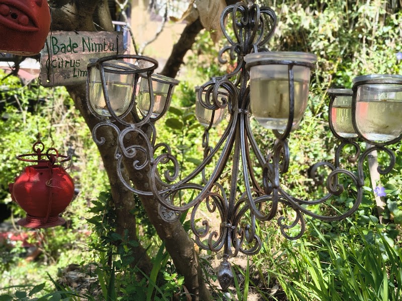 jungle lore birding lodge pangot - jungle lore birding lodge pangot Village Pangot, Kilbury Rd, Via, Budhalakote, Nainital, Uttarakhand 263001, India