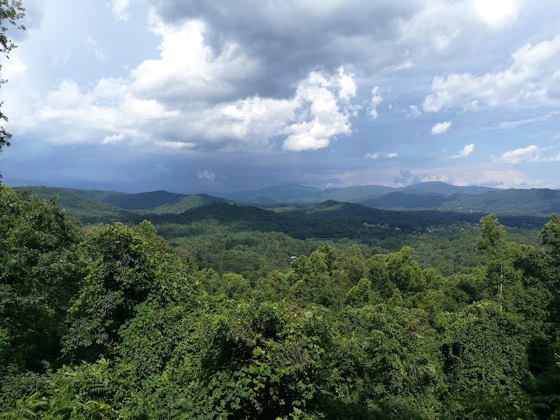 Collier Cove Nature Preserve - Collier Cove Nature Preserve 175 Rhododendron Dr, Arden, NC 28704, USA