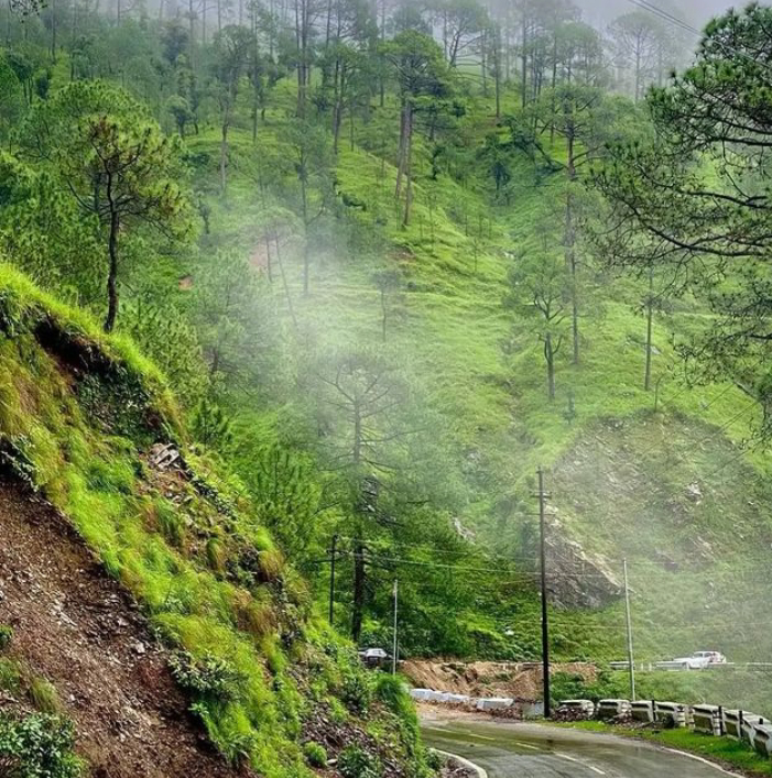 Chamba - Mussoorie Road - Chamba - Mussoorie Road, Chamba - Mussoorie Rd, Uttarakhand, India