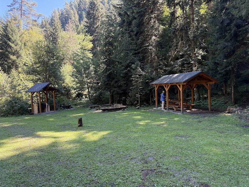 Borjomi-Kharagauli National Park Administration - Borjomi-Kharagauli National Park Administration, 23 მესხეთის ქუჩა, Borjomi 1200, Georgia
