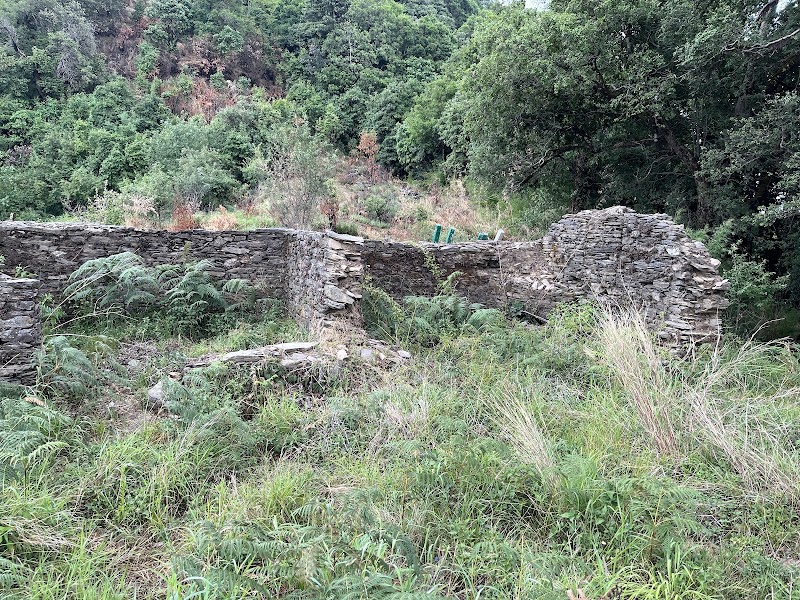 Tagore Top - Tagore Top, CH73+F95, Gagar, Bhowali Range, Uttarakhand 263137, India