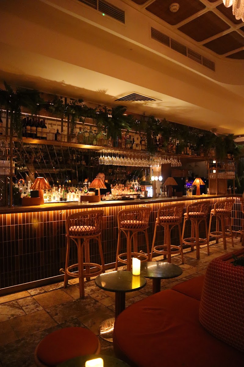 Canary Club - Canary Club Banyan Tree Residences - Al Thanyah Fifth - Dubai - United Arab Emirates