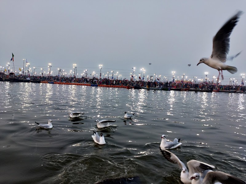 Prayagraj SANGAM VIEW POINT - Prayagraj SANGAM VIEW POINT CVFQ+8V8, sangam area, Prayagraj, Uttar Pradesh 211006, India