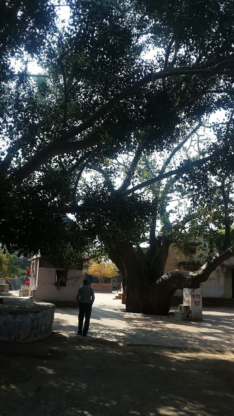 Kalp Vriksh Shiv Temple - Kalp Vriksh Shiv Temple, FJJX+MW4, Sarveshwar Nagar, Ajmer, Rajasthan 305001, India
