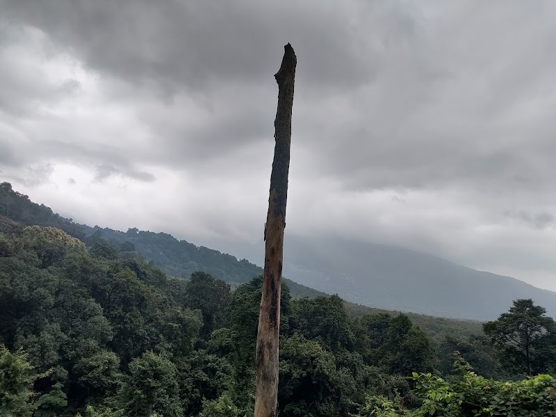 Siruvani Bottom - Siruvani Bottom, WPW6+QFJ, Karunya Road, Booluvampatti, Tamil Nadu 641114, India