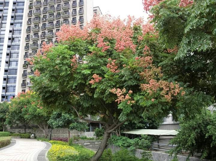 Beitou District - Beitou District, Taipei City, Taiwan 112