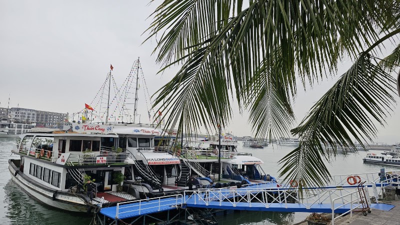 No 21 Tuan Chau Harbour - No 21 Tuan Chau Harbour, WXFJ+6R4, Tuan Chau, Quang Ninh, Vietnam