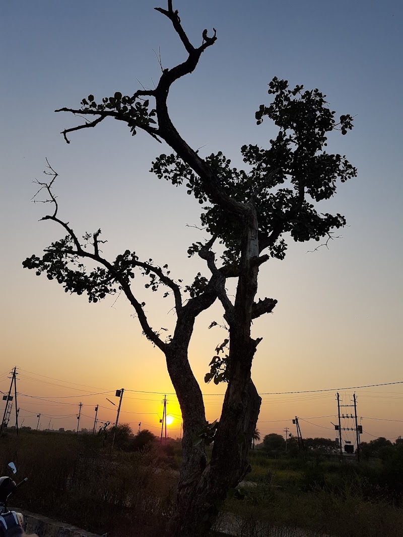 Sunset point - Sunset point 5VGR+77J, Mr4Extension Rd, Madhya Pradesh 482002, India