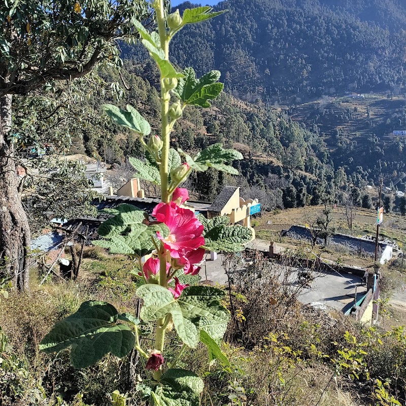 Bhowali - Bhowali Bhowali, Sukha, Uttarakhand, India