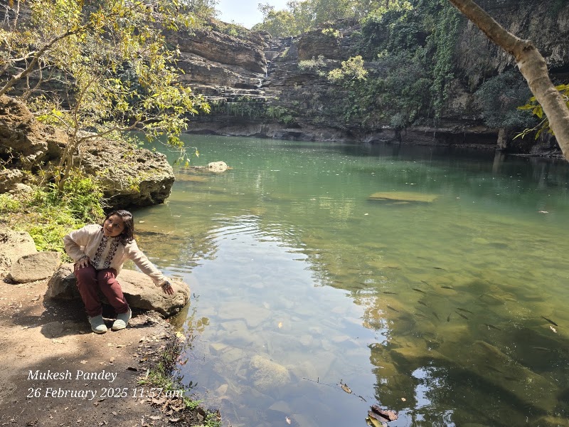Panna Tiger Safari - Panna Tiger Safari, 40, Road, Mohan Nivas, Kunjvan, Panna, Madhya Pradesh 488001, India