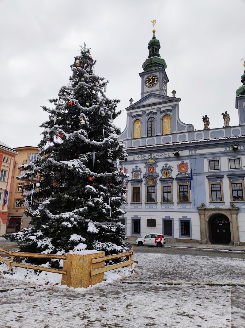 Samson fountain - Samson fountain, Náměstí Přemysla Otakara II., 370 01 České Budějovice-České Budějovice 1, Czechia
