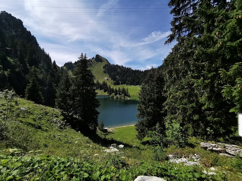 Weissenau panoramic point - Weissenau panoramic point Weissenaustrasse, 3800 Unterseen, Switzerland