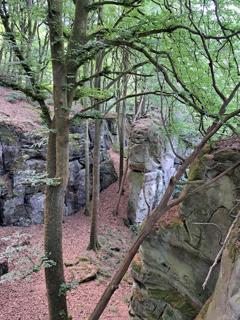 Labyrinthe - Labyrinthe, CR364, 6550 Berdorf, Luxembourg