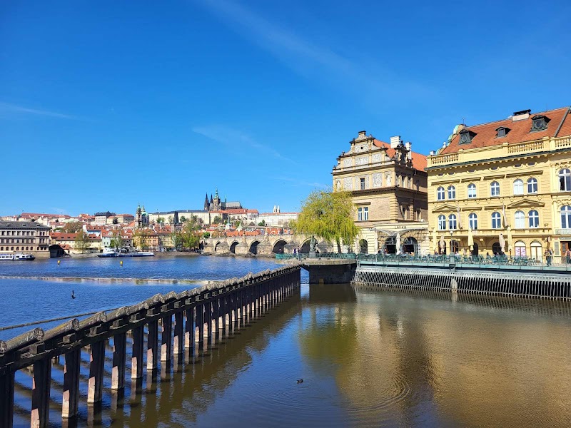 Statue of Bedřich Smetana - Statue of Bedřich Smetana, Novotného lávka, Staré Město, 110 00 Praha-Praha 1, Czechia