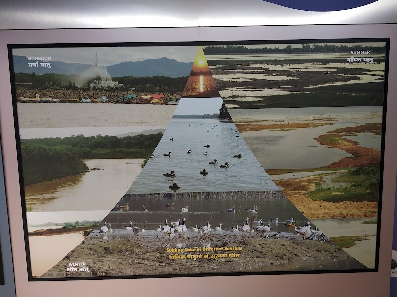 Nature Interpretation Centre, Sukhna Lake - Nature Interpretation Centre, Sukhna Lake PRQJ+QCR, Bhagwanpura, Chandigarh, 160001, India